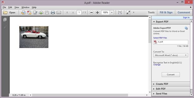 image in the PDF file